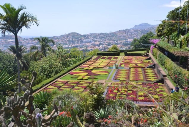 Isola delle Piante (Giardino Botanico)