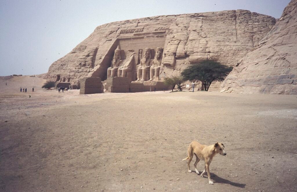 I templi di Abu Simbel sul Lago Nasser