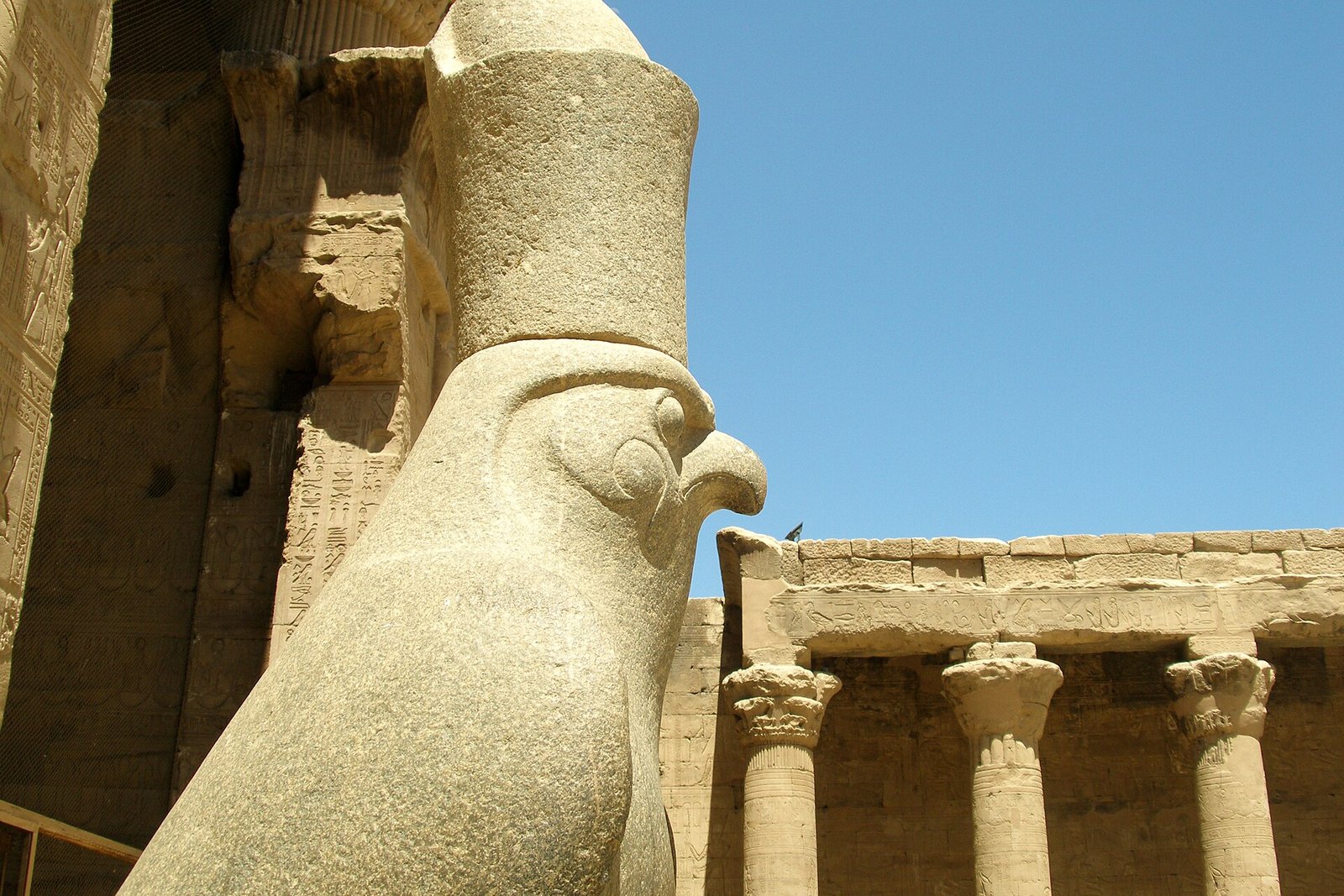 La statua del dio falco Horus all'ingresso del tempio di Edfu