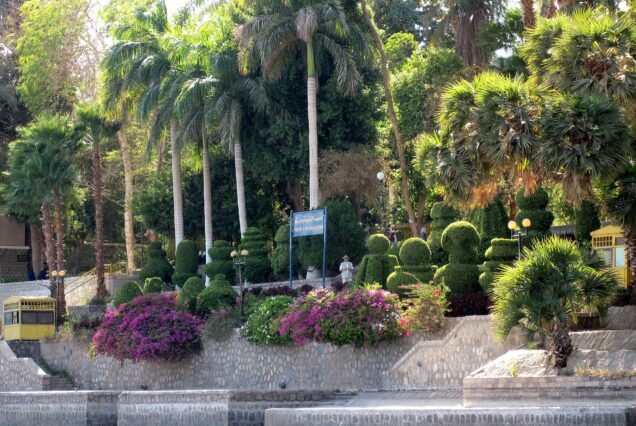 Il giardino botanico di Assuan visto dall'acqua, con palme, siepi potate e bougainville in fiore sopra l'argine di pietra