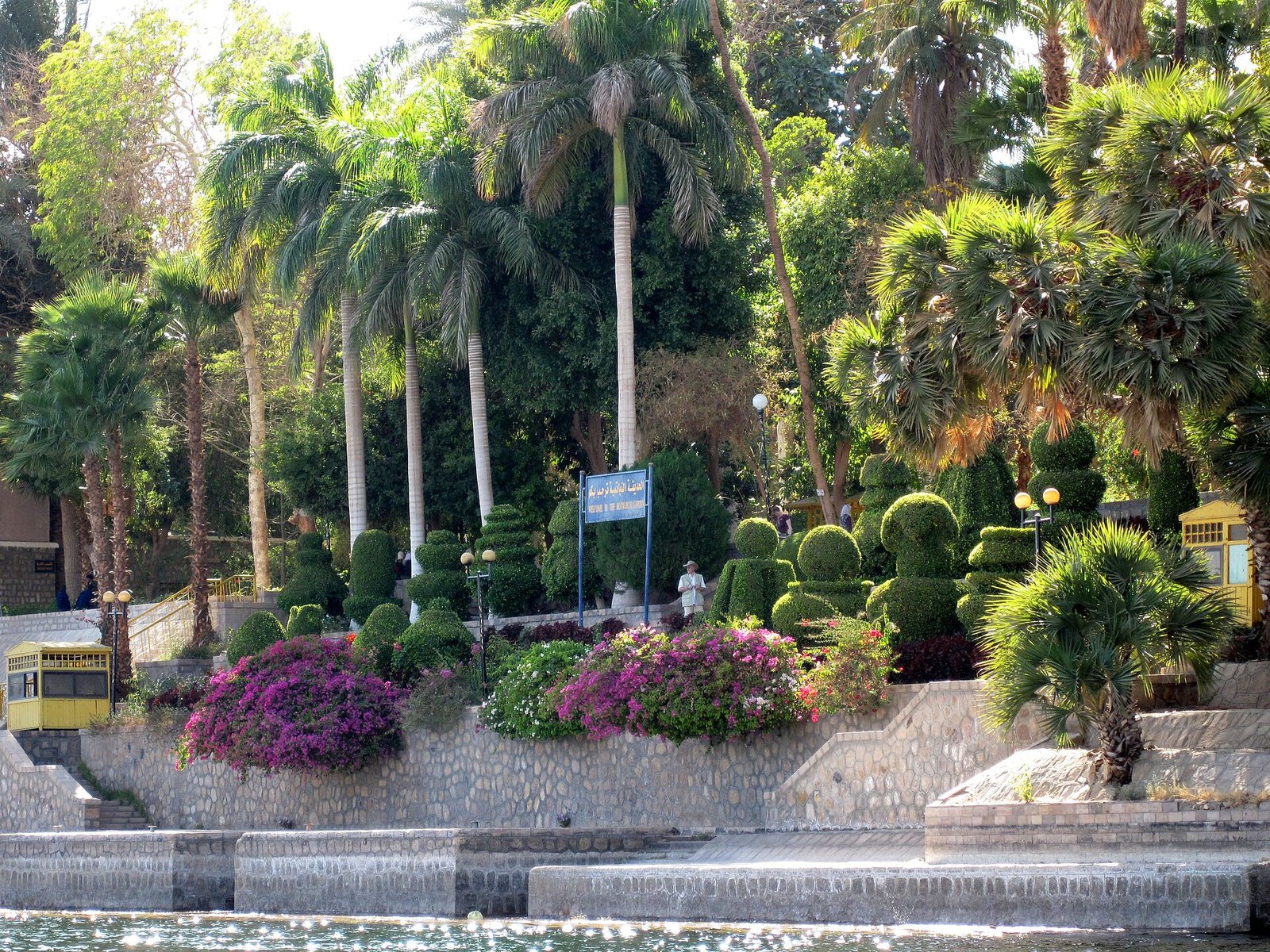 Egitto: isola delle piante