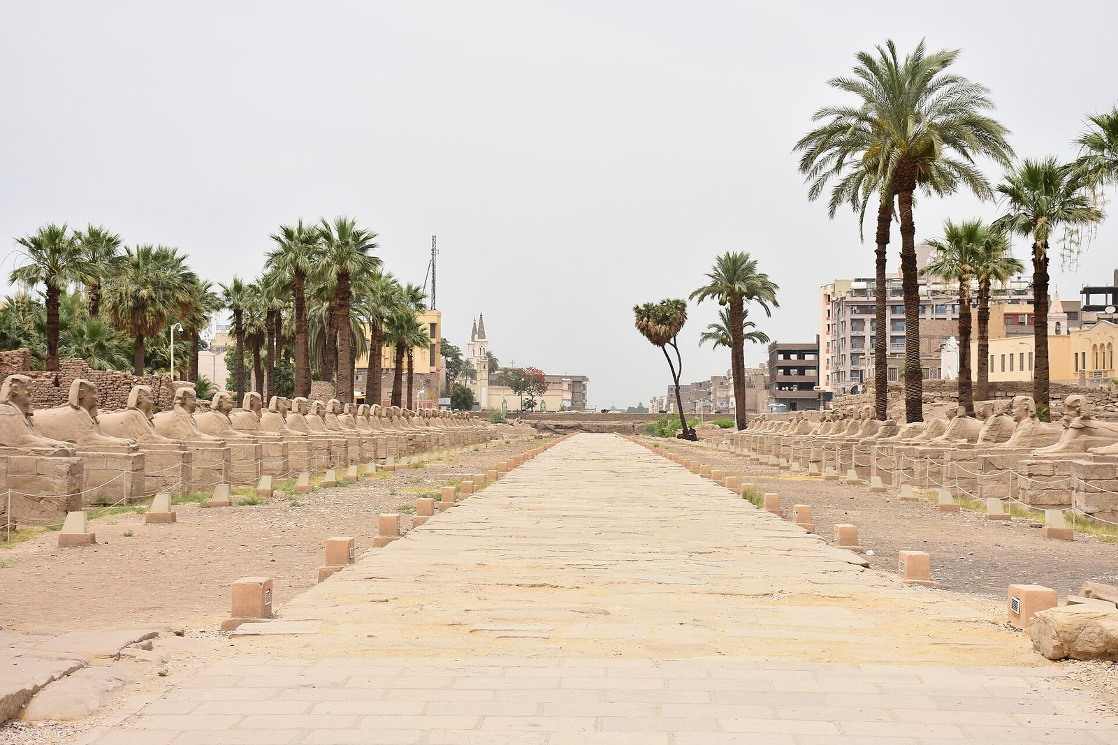 Il viale delle sfingi davanti al tempio di Luxor