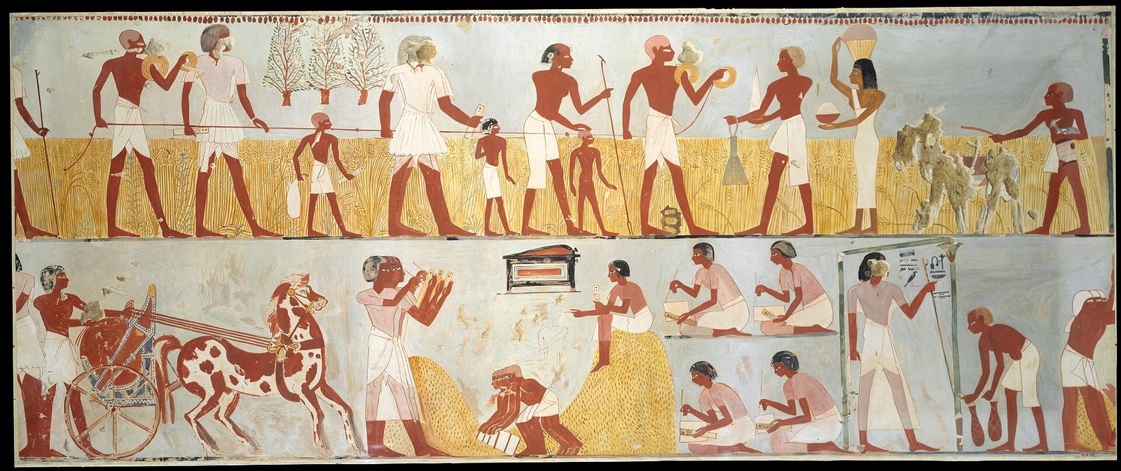 Le pitture di vita quotidiana in una Tomba dei Nobili a Luxor
