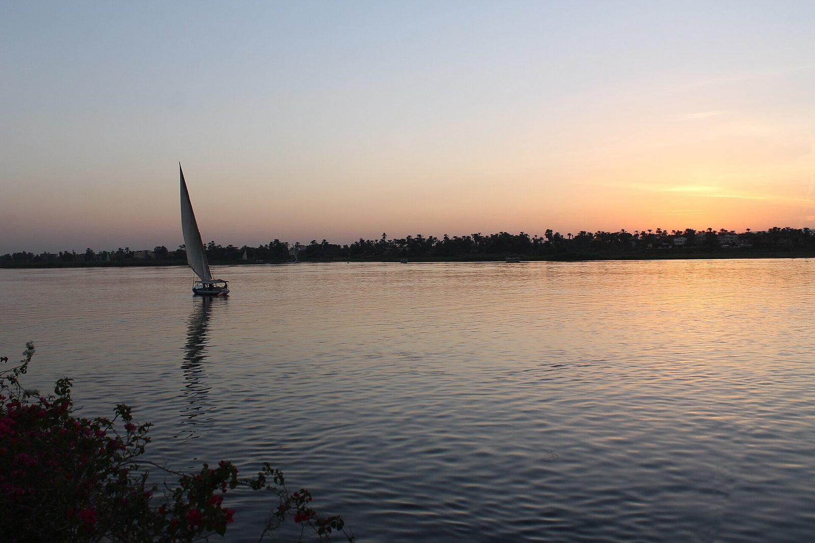 Una feluca a vela sul Nilo al tramonto, davanti alla riva di Luxor