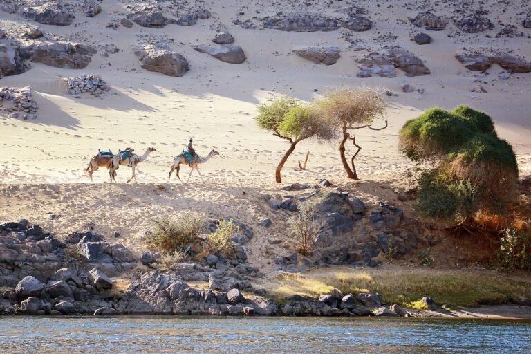 Valle del Nilo o Mar Rosso: due stagioni diverse nello stesso paese