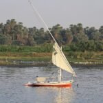 Una feluca a vela naviga sul Nilo tra le rive coltivate e le palme