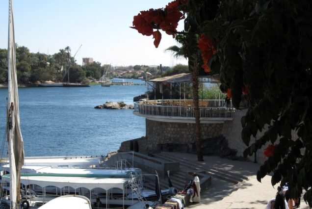 Le palme e le piante tropicali dell'Isola delle Piante