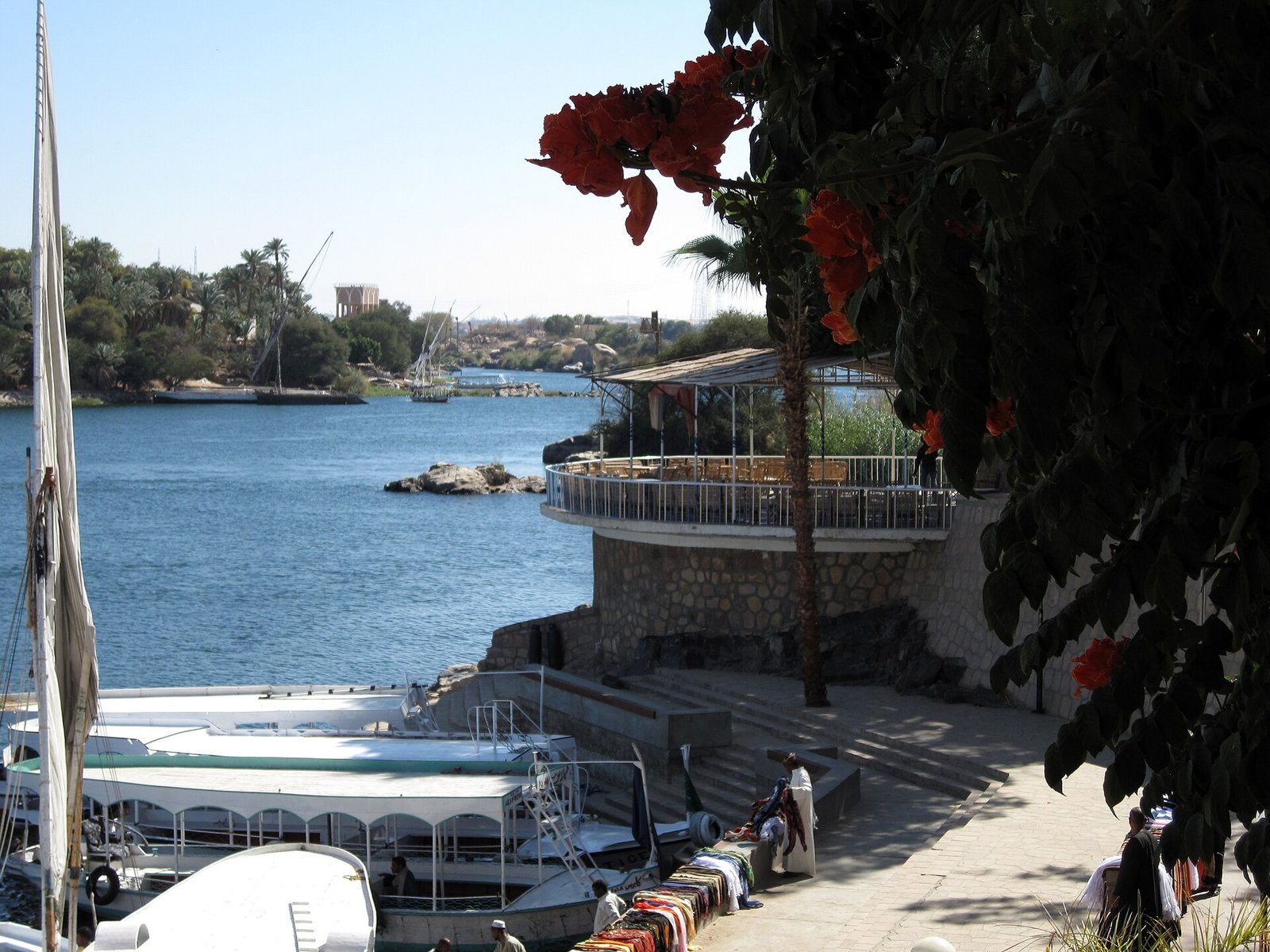 Le palme e le piante tropicali dell'Isola delle Piante