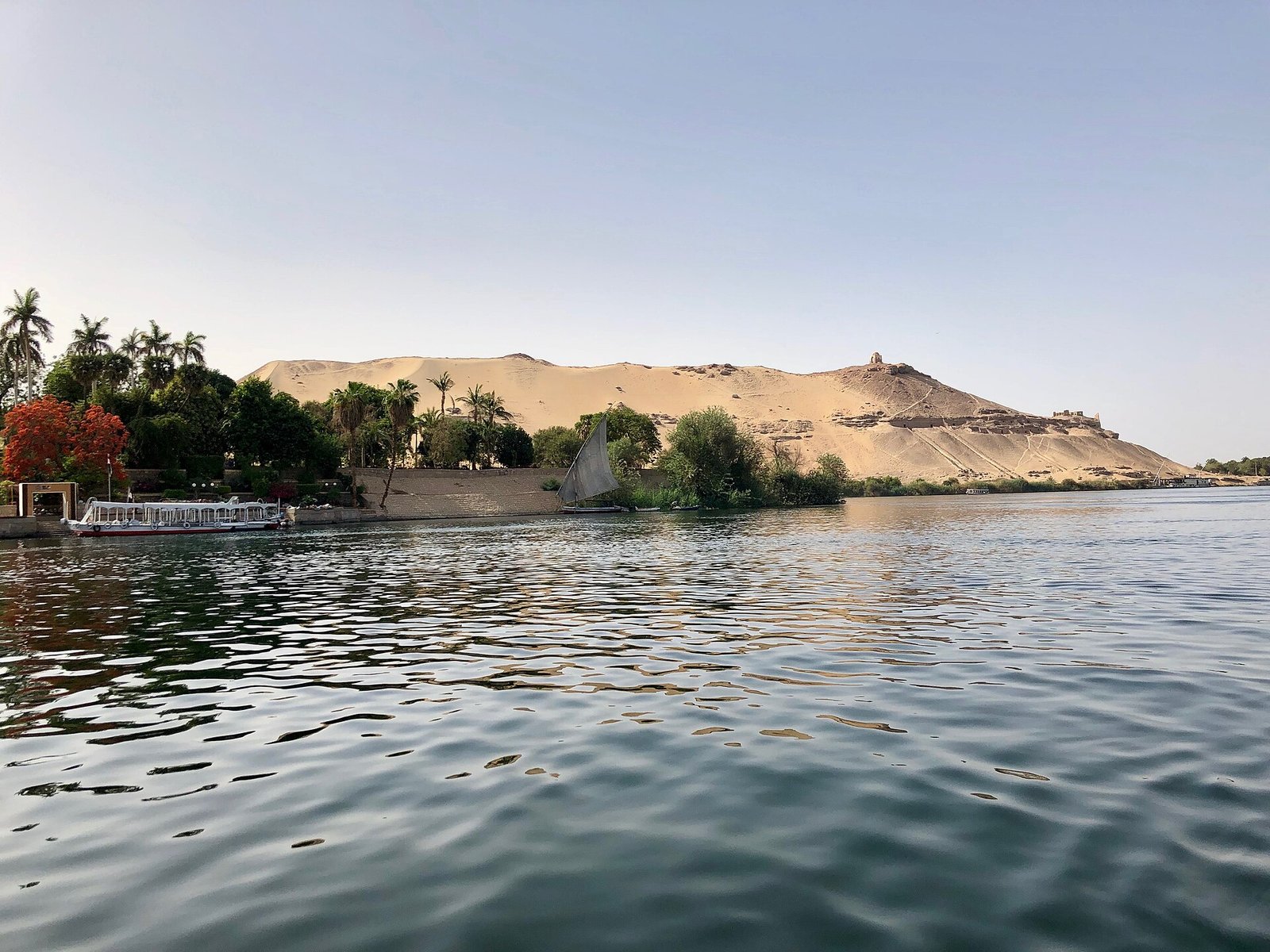 Un sentiero ombreggiato tra le piante rare dell'isola