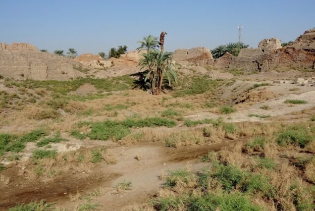 L'area archeologica intorno al tempio di Dendera, con i resti in mattoni crudi, le palme e la vegetazione bassa