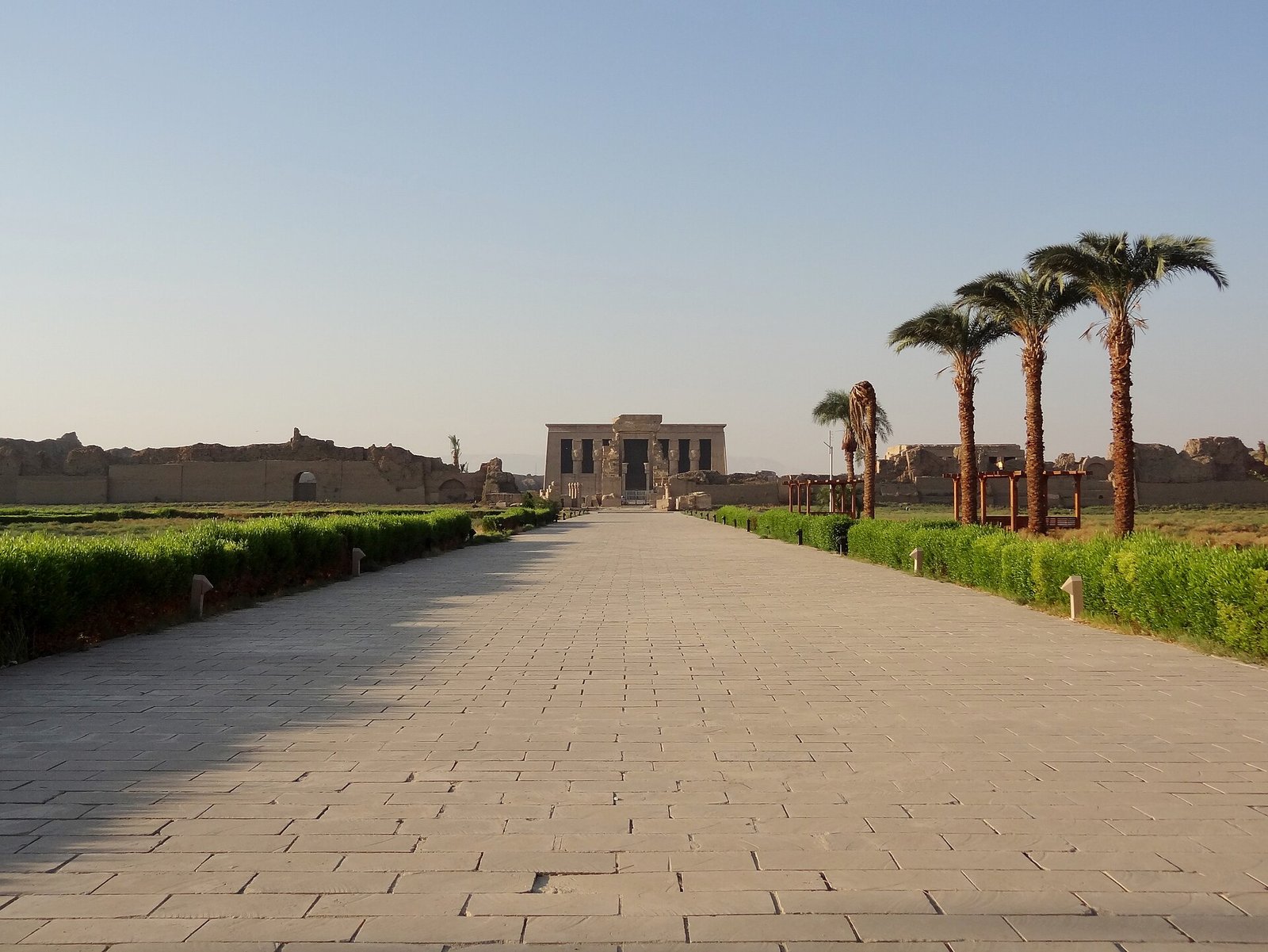 Il viale lastricato che porta al tempio di Dendera, fiancheggiato da siepi e palme, con la facciata del tempio in fondo
