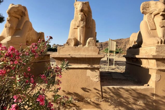 Le sfingi con testa di ariete di Karnak viste da vicino, con un cespuglio di oleandro fiorito in primo piano