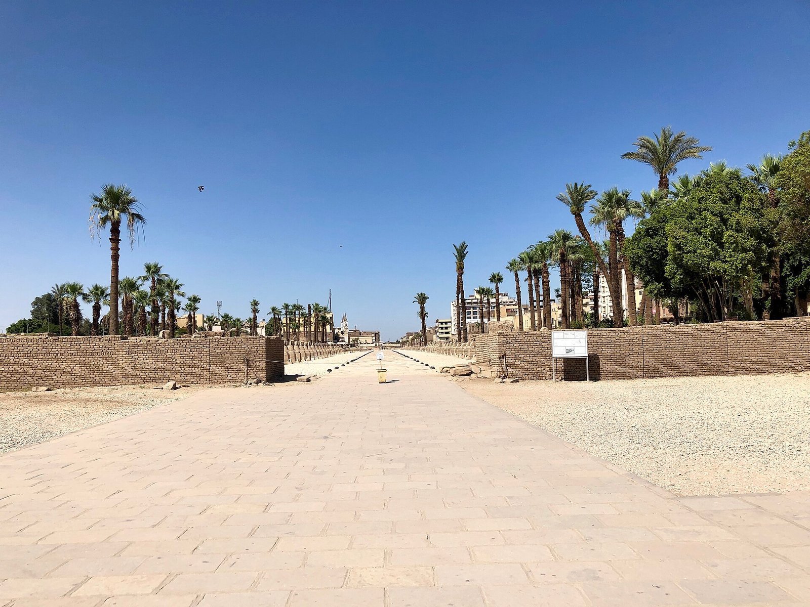 Il viale delle sfingi che collega Luxor a Karnak