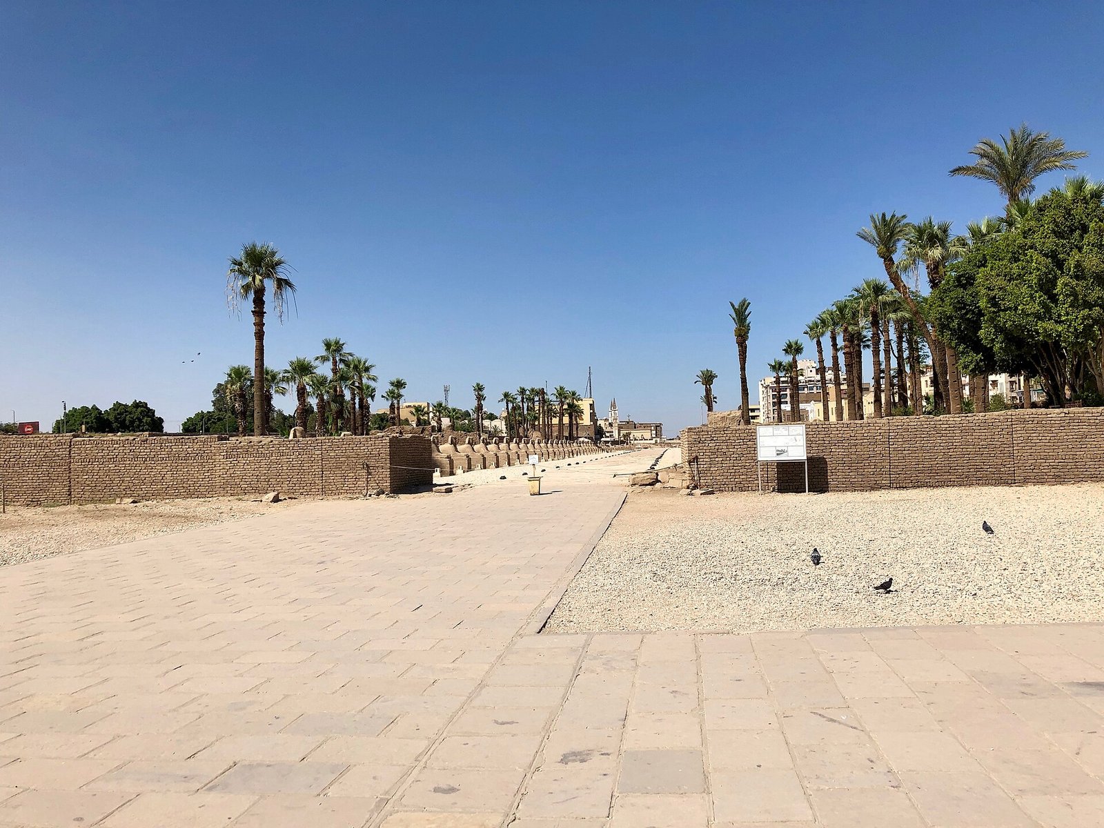 Il viale delle sfingi a Luxor, la strada lastricata fiancheggiata dalle statue che collegava il tempio di Luxor a quello di Karnak
