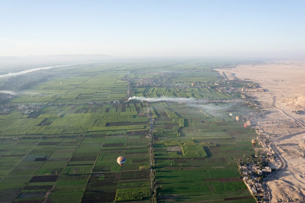 La riva ovest di Luxor vista dall'alto all'alba, con i campi verdi a scacchiera, alcune mongolfiere in volo e la linea netta dove la coltivazione finisce e comincia il deserto