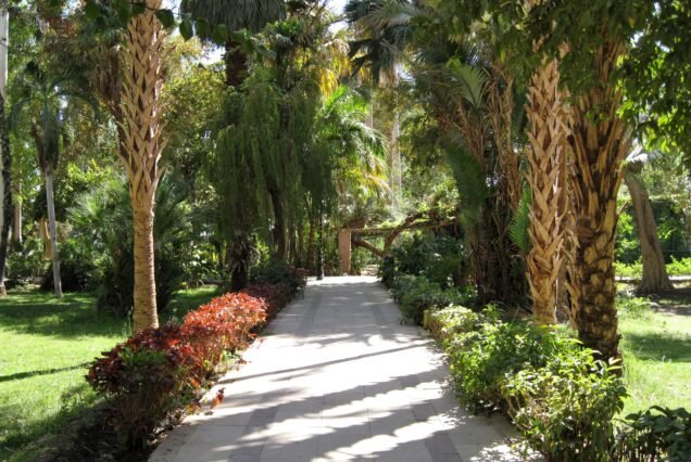Viale lastricato del giardino botanico di Assuan fiancheggiato da palme e aiuole rosse
