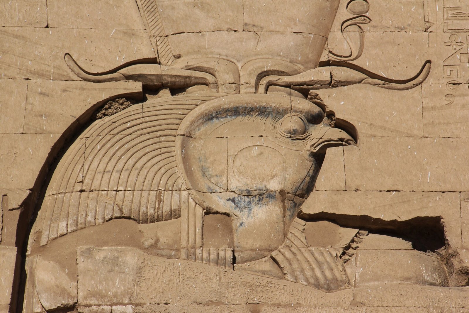 Rilievo del falco Horus sul tempio di Edfu, con tracce di pigmento azzurro sulla pietra