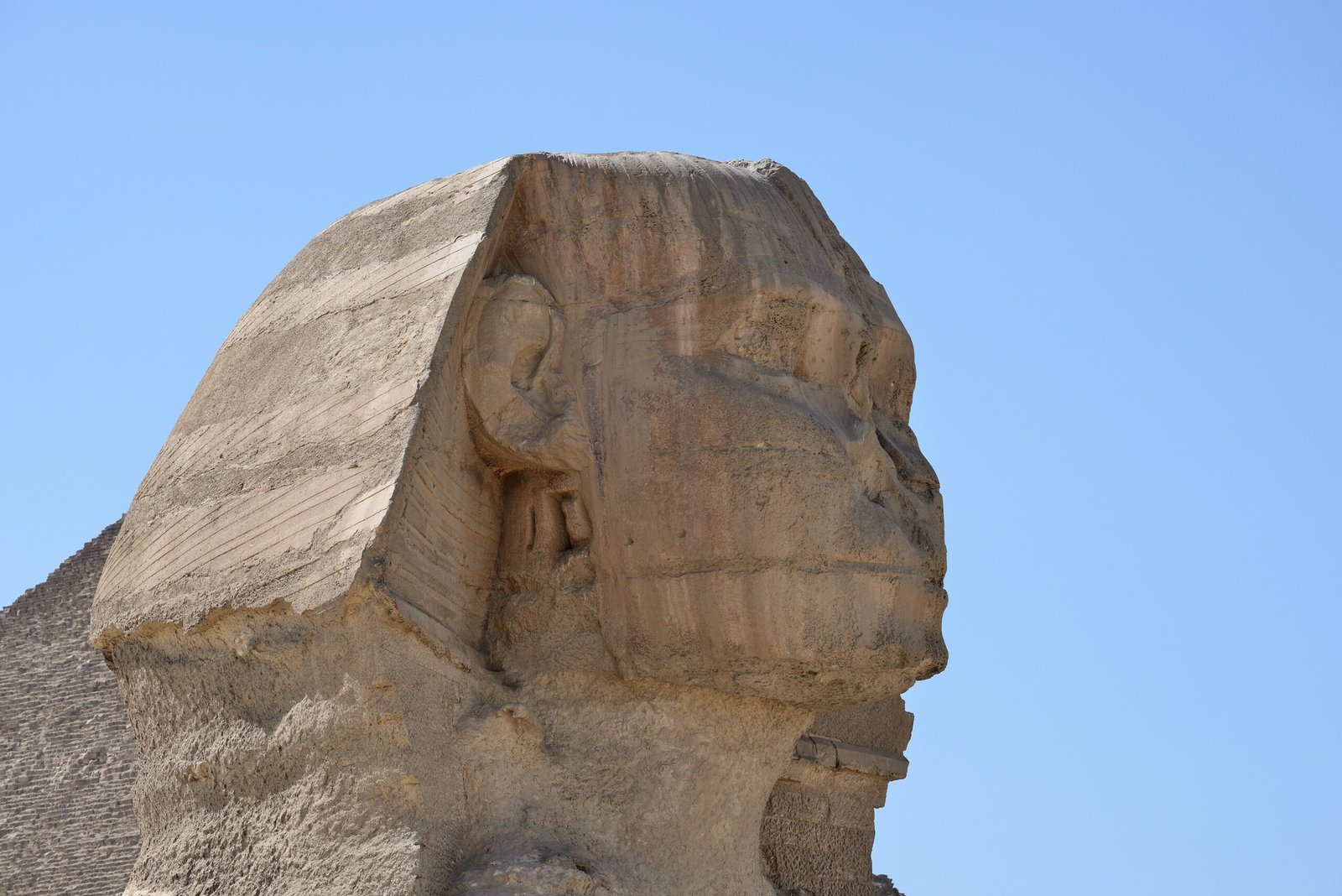 La testa della Sfinge di Giza di profilo, con il nemes scolpito che si staglia sul cielo azzurro.