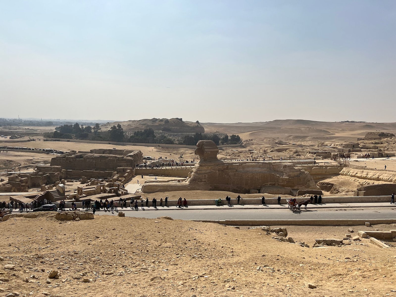 La Sfinge di Giza vista di profilo dall'altopiano, con la strada, i visitatori lungo il recinto e il deserto sullo sfondo