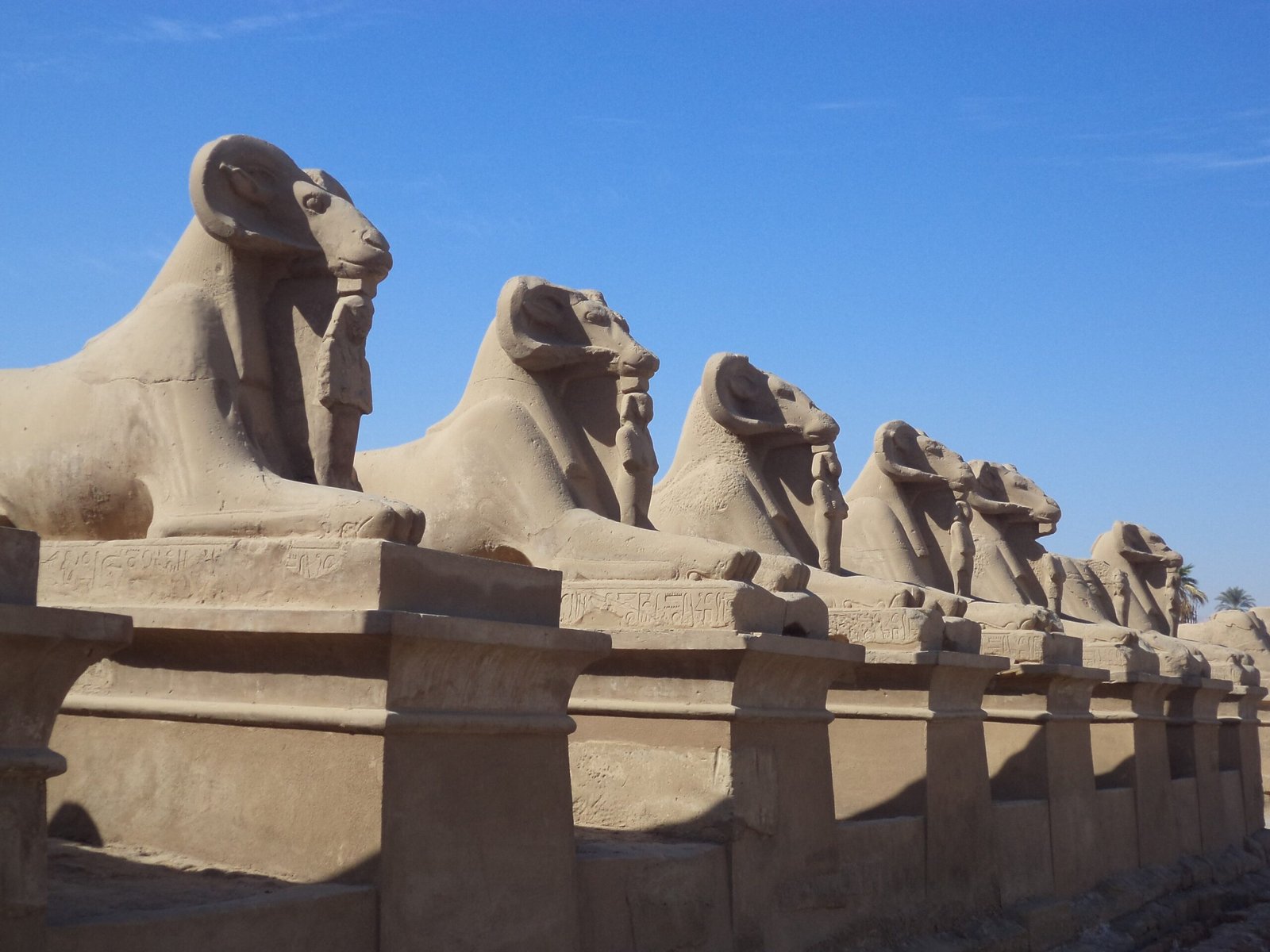 Fila di sfingi con testa di ariete al viale di Karnak sotto un cielo limpido