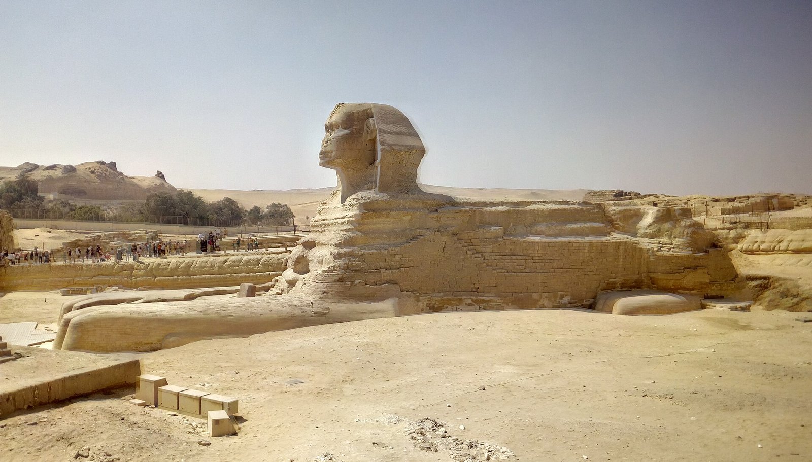 La Sfinge di Giza vista di profilo da vicino, con la testa dal copricapo nemes e il corpo scavato nella roccia