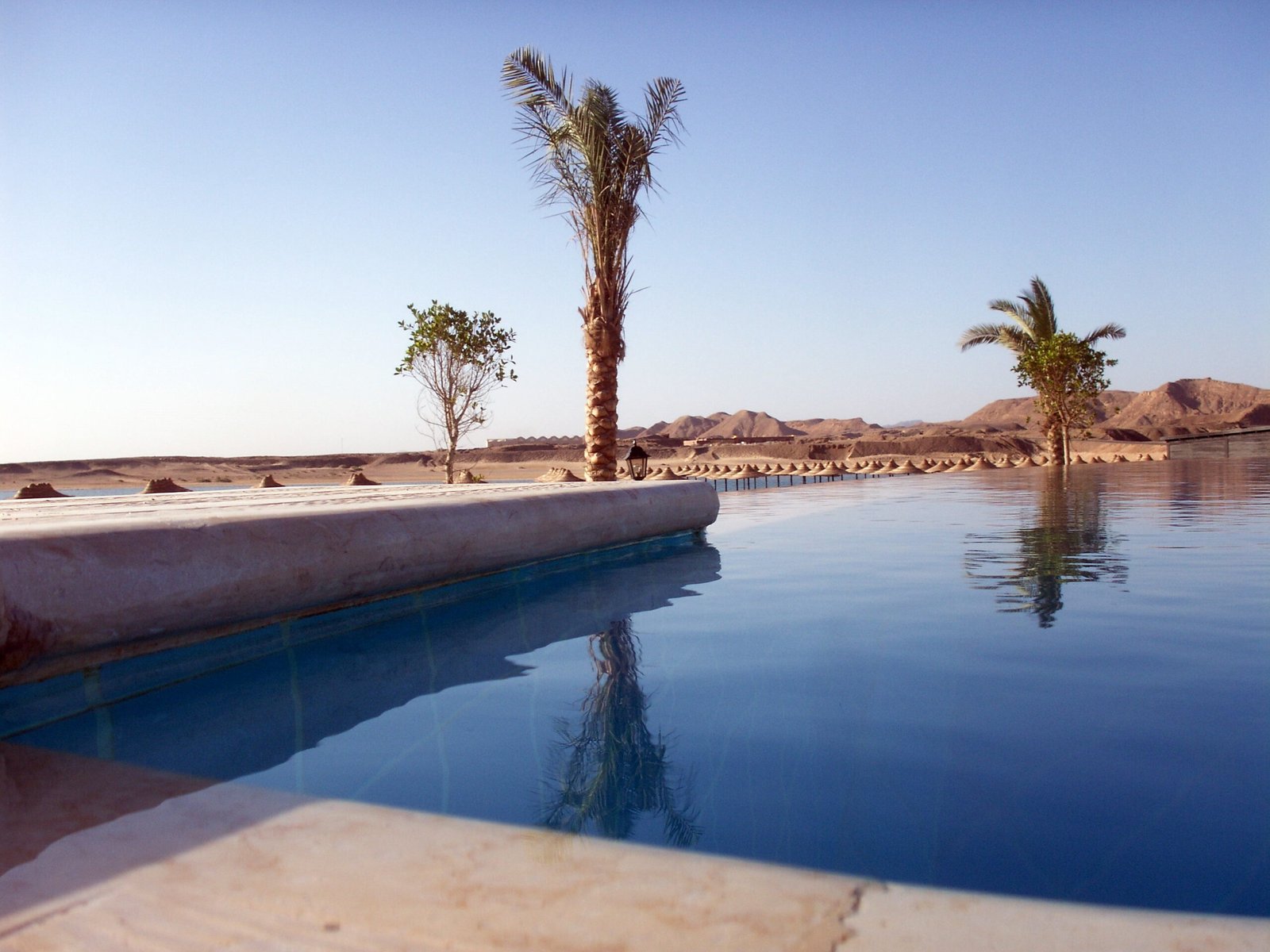 Bordo di una piscina a sfioro sulla costa del Mar Rosso, con palme riflesse nell'acqua ferma e colline desertiche sullo sfondo