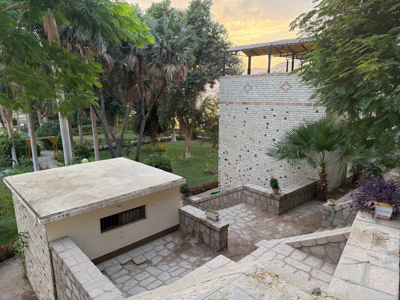 Il giardino botanico dell'isola Kitchener ad Assuan al tramonto con il Nilo e le vele delle feluche