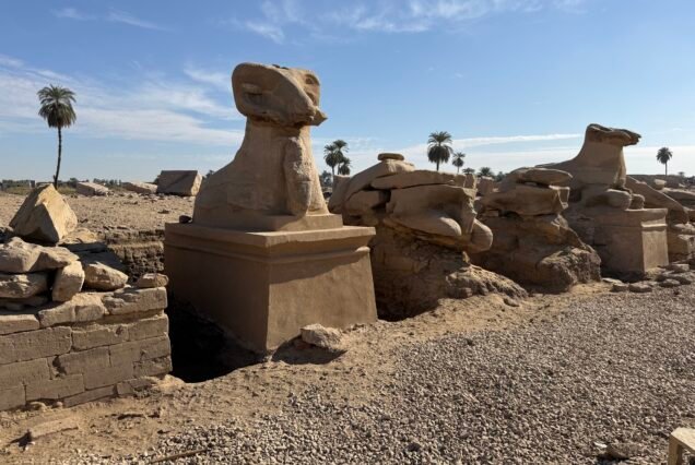 Le sfingi criocefale del viale processionale di Luxor viste da vicino lungo la fila di pietra