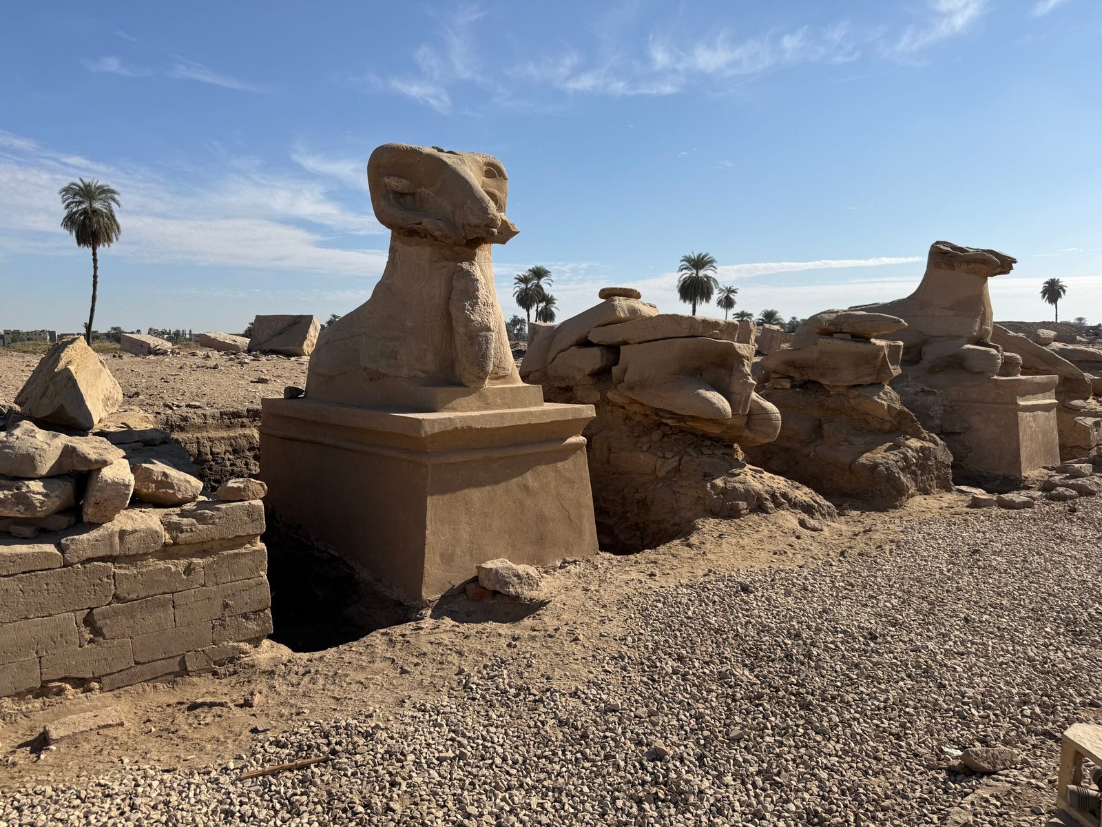 Le sfingi criocefale del viale processionale di Luxor viste da vicino lungo la fila di pietra