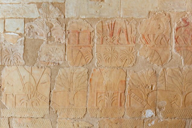 Rilievi consunti con alberi e piante su una parete del tempio di Hatshepsut