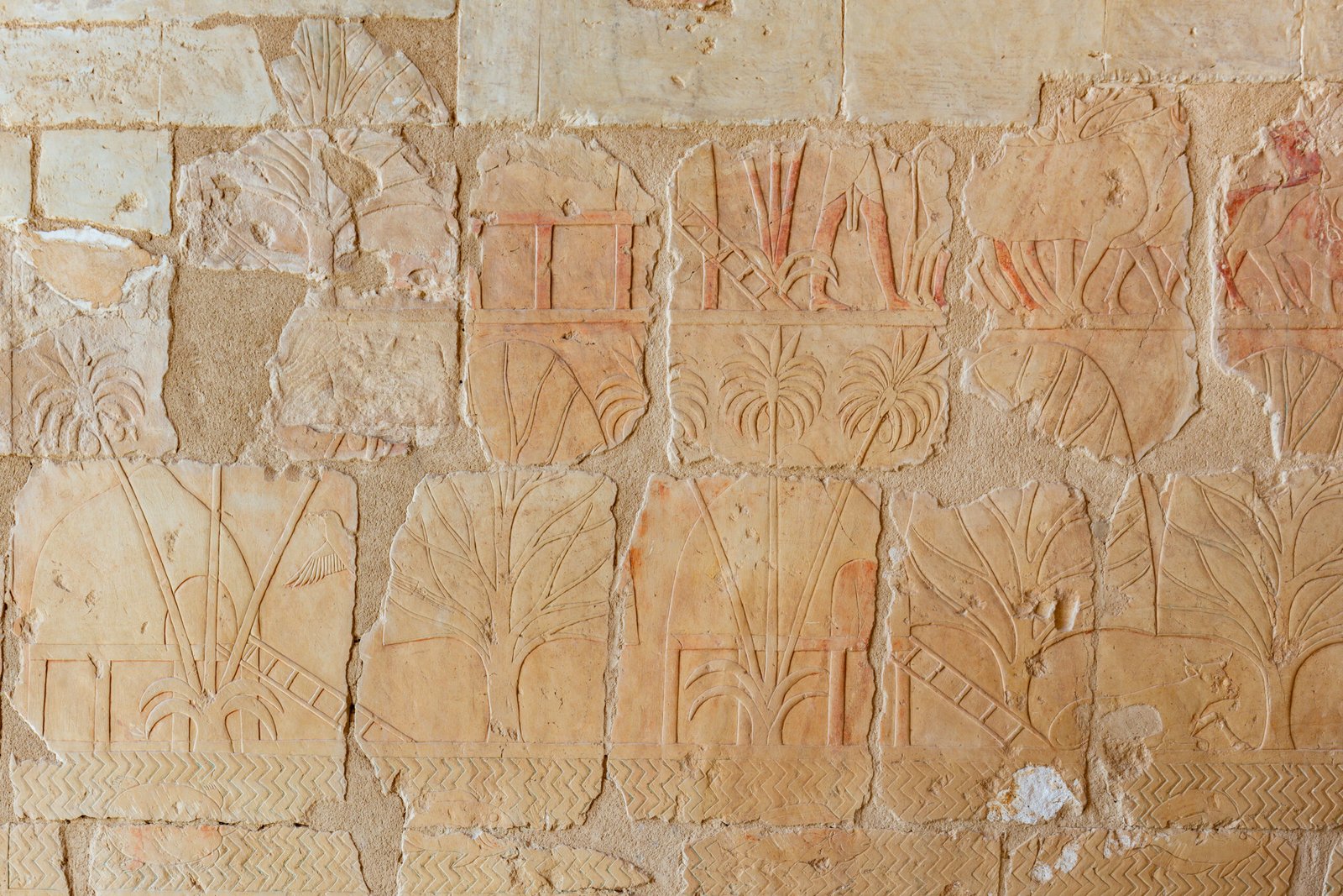 Rilievi consunti con alberi e piante su una parete del tempio di Hatshepsut