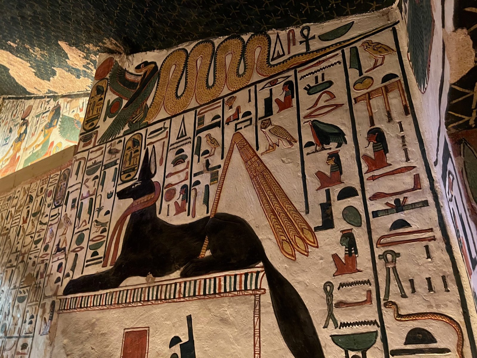 La pittura di Anubi sul sacello nella tomba di Nefertari sotto il soffitto stellato