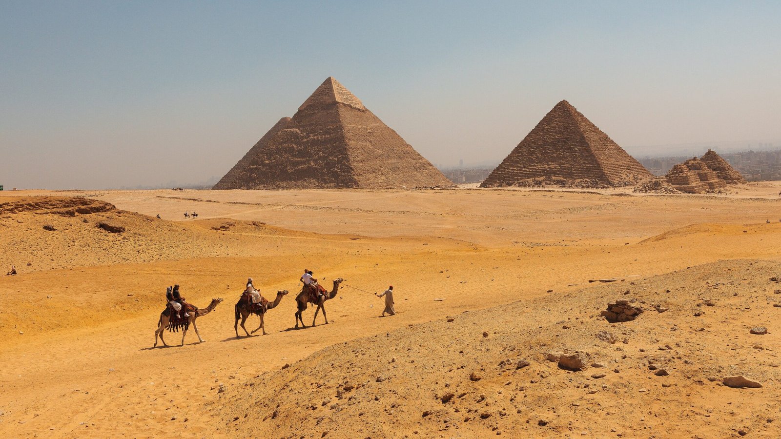 Cammelli sull'altopiano di Giza, dove il viaggiatore da solo incontra la prima contrattazione