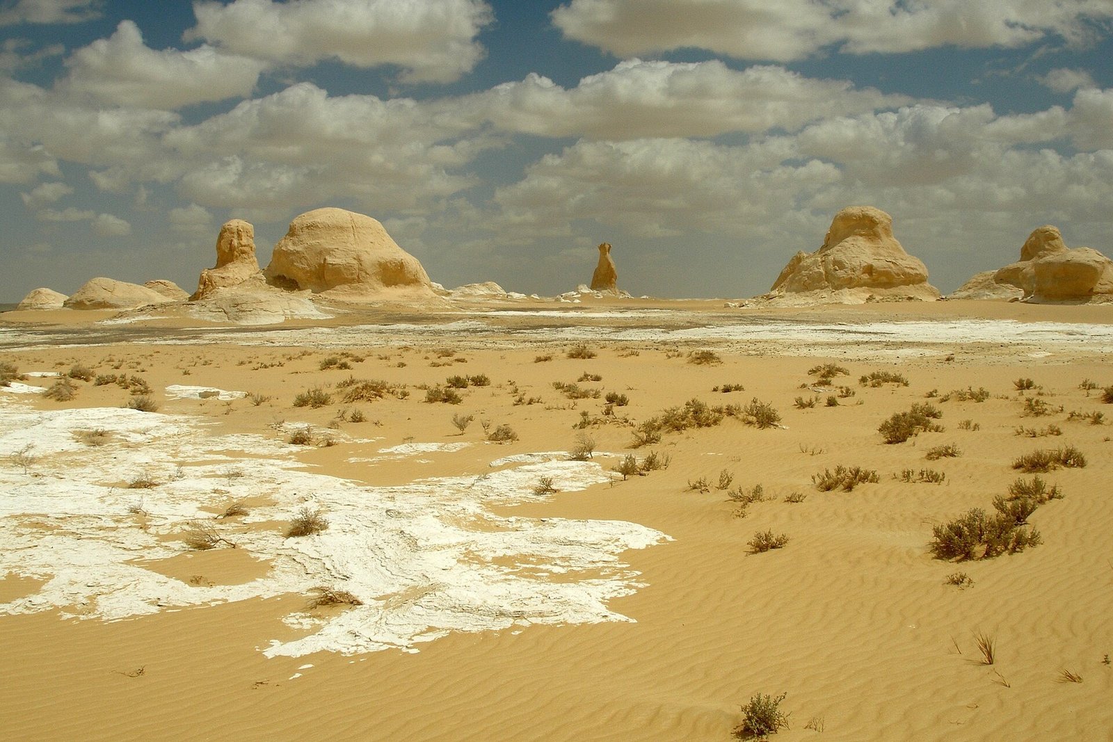 Le formazioni calcaree del Deserto Bianco tra Farafra e Bahariya, con la sabbia dorata e i cespugli secchi