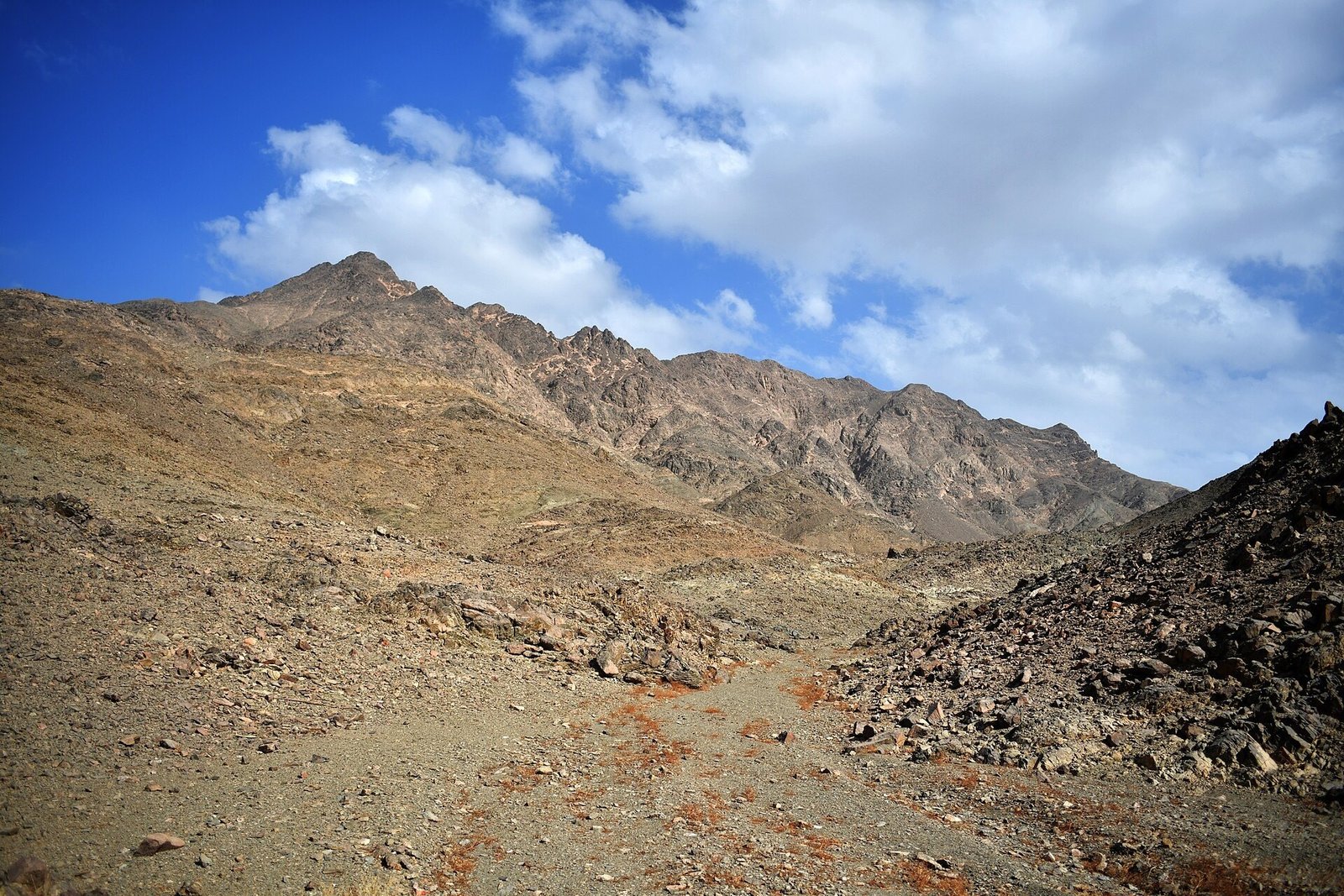 Una valle rocciosa del deserto orientale egiziano, con il sentiero di sassi scuri e le montagne sotto un cielo con nuvole