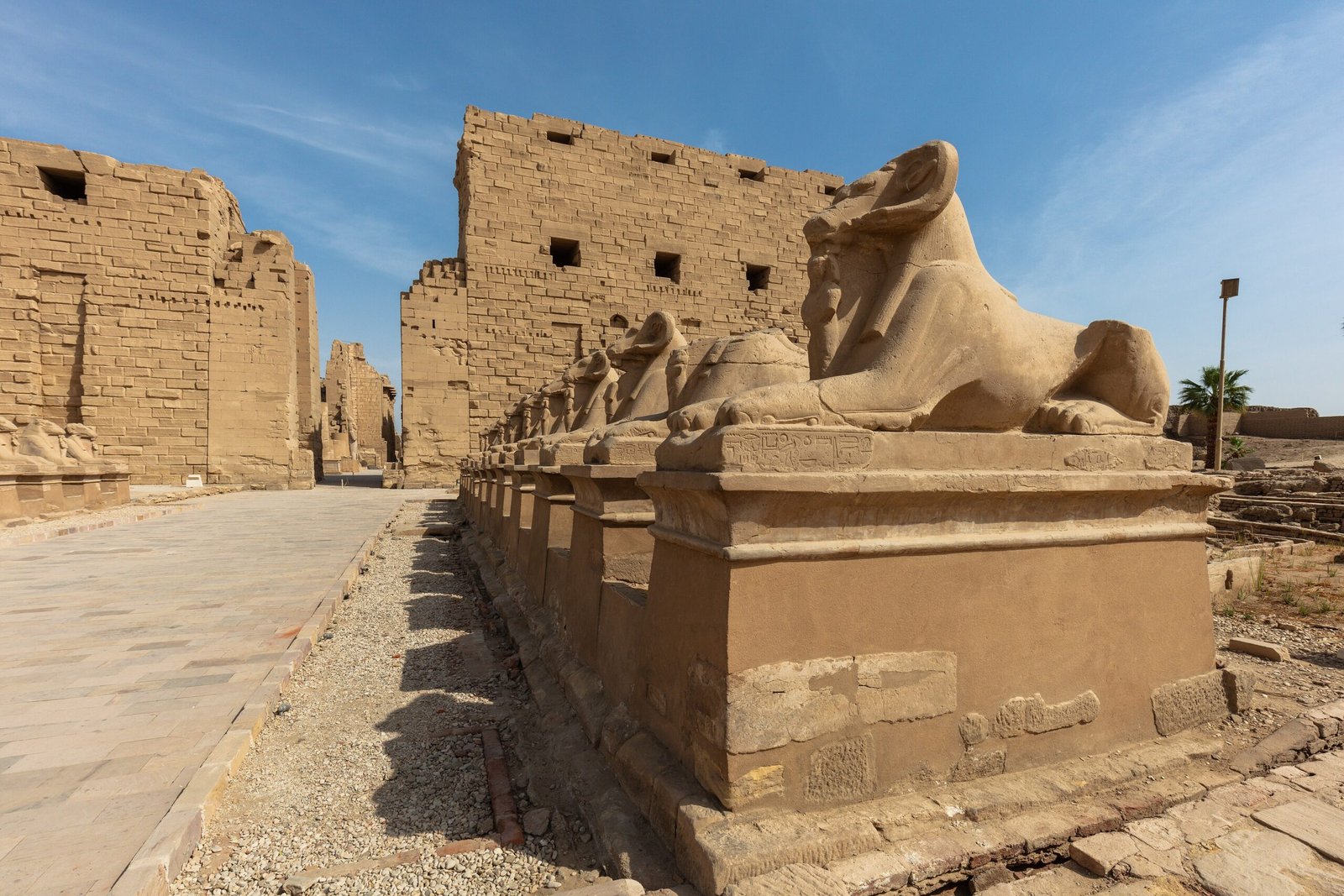 Una sfinge con testa d'ariete in primo piano lungo il viale che precede il pilone di Karnak