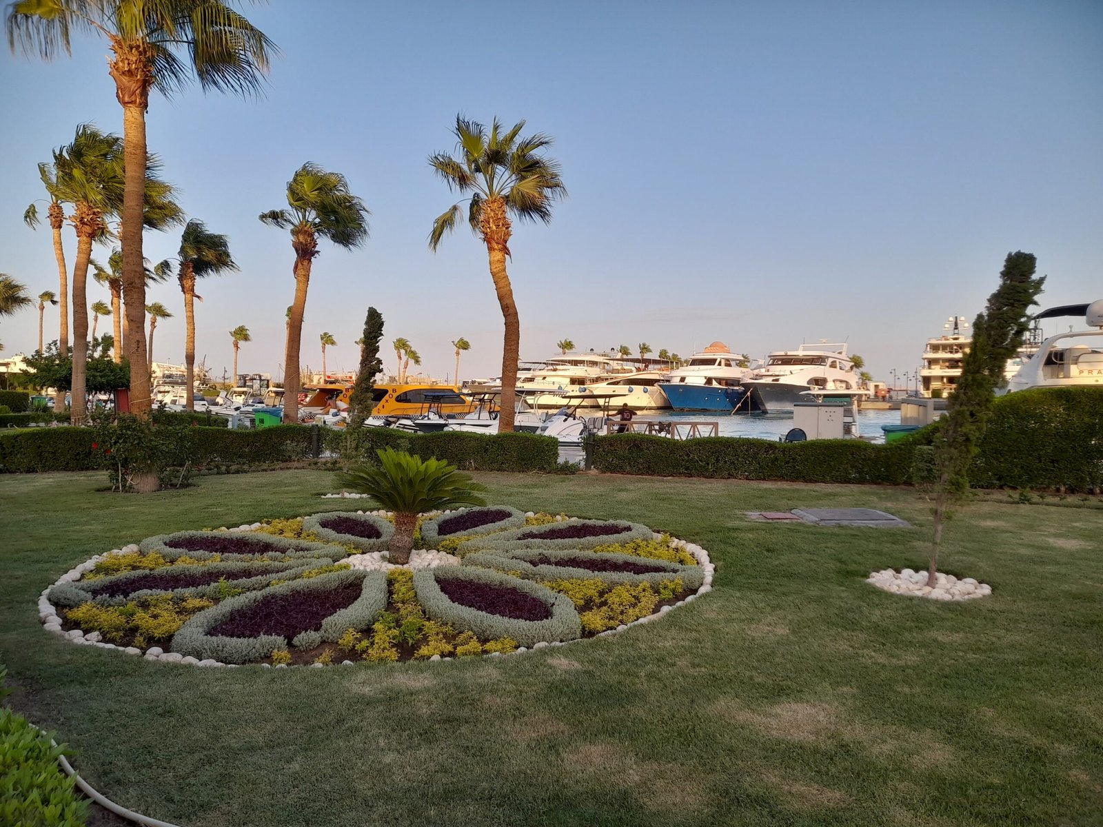 I giardini fioriti e le palme davanti alla marina di Hurghada, con gli yacht all'orizzonte