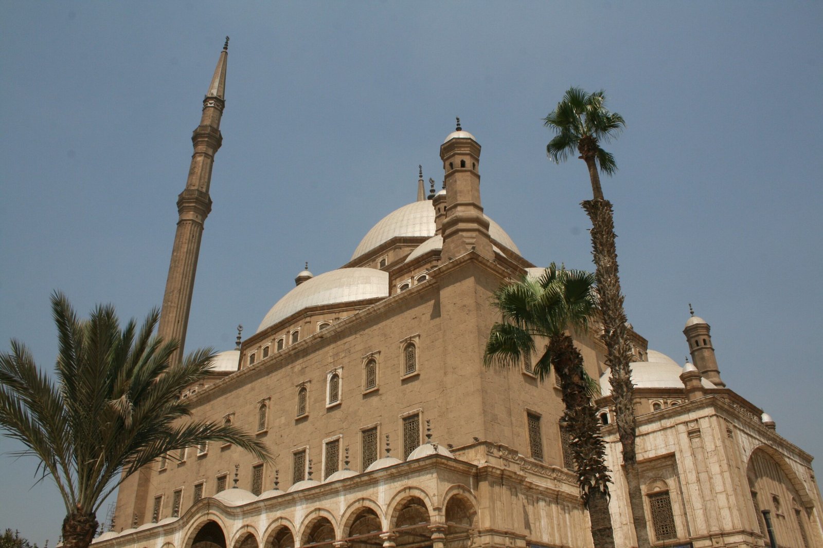 La moschea di Muhammad Ali vista dal basso, con il minareto e le palme davanti alle cupole