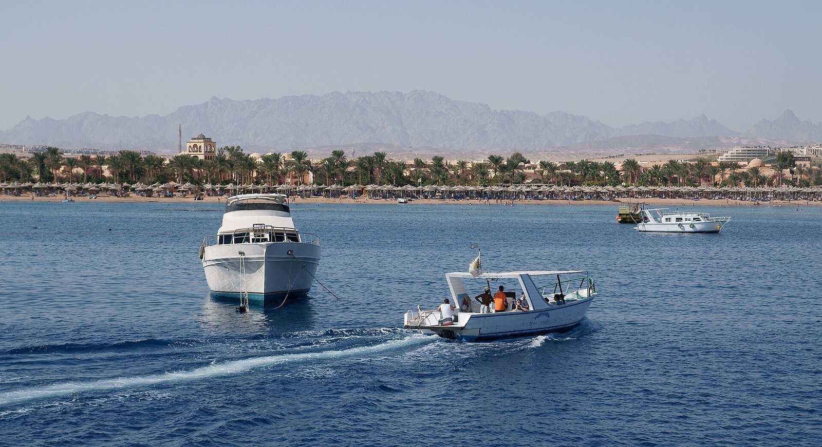 Barche bianche in navigazione davanti alla costa di Makadi Bay, con le montagne del deserto orientale all'orizzonte