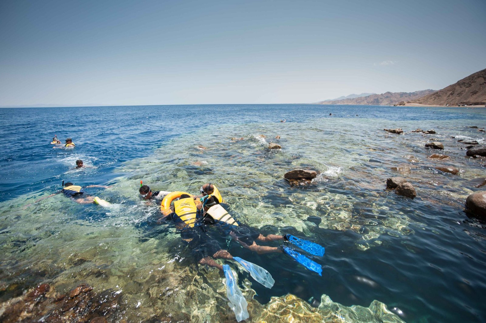 Due persone con maschera e pinne che nuotano sulla barriera corallina del Mar Rosso, con la costa sullo sfondo