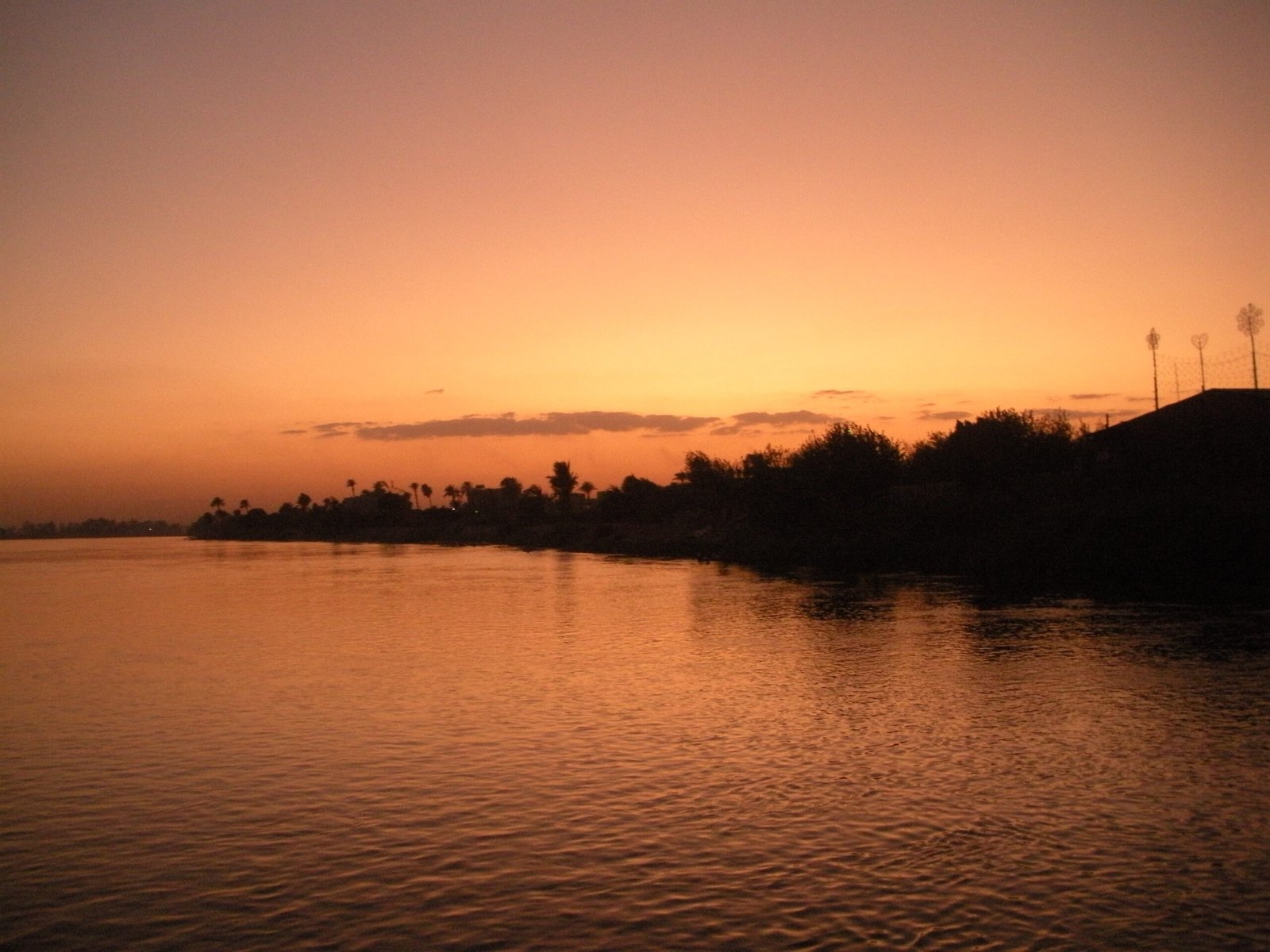 Il cielo rosa e arancione sul Nilo al crepuscolo, con la riva alberata che si specchia nell'acqua