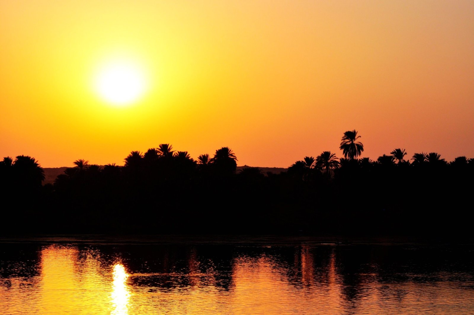 Il sole che tramonta dietro le palme sul Nilo, con il riflesso arancione sull'acqua