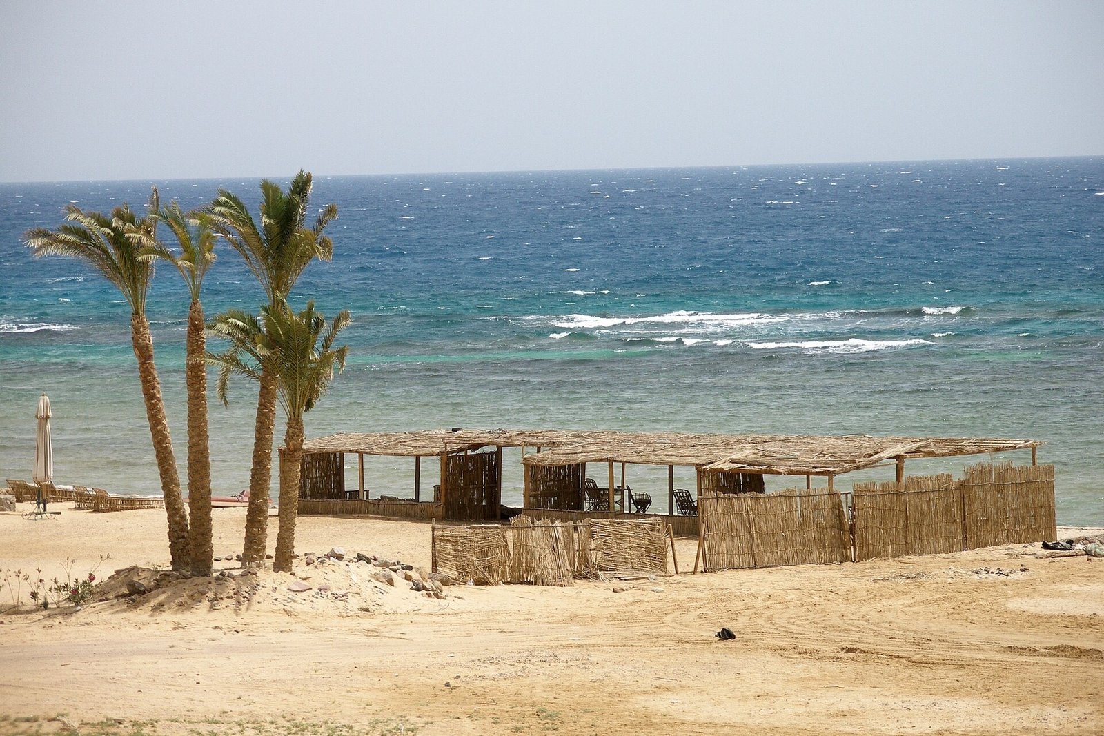 Una capanna di canne e tre palme sulla spiaggia di sabbia di Nuweiba, con il mare mosso del golfo di Aqaba