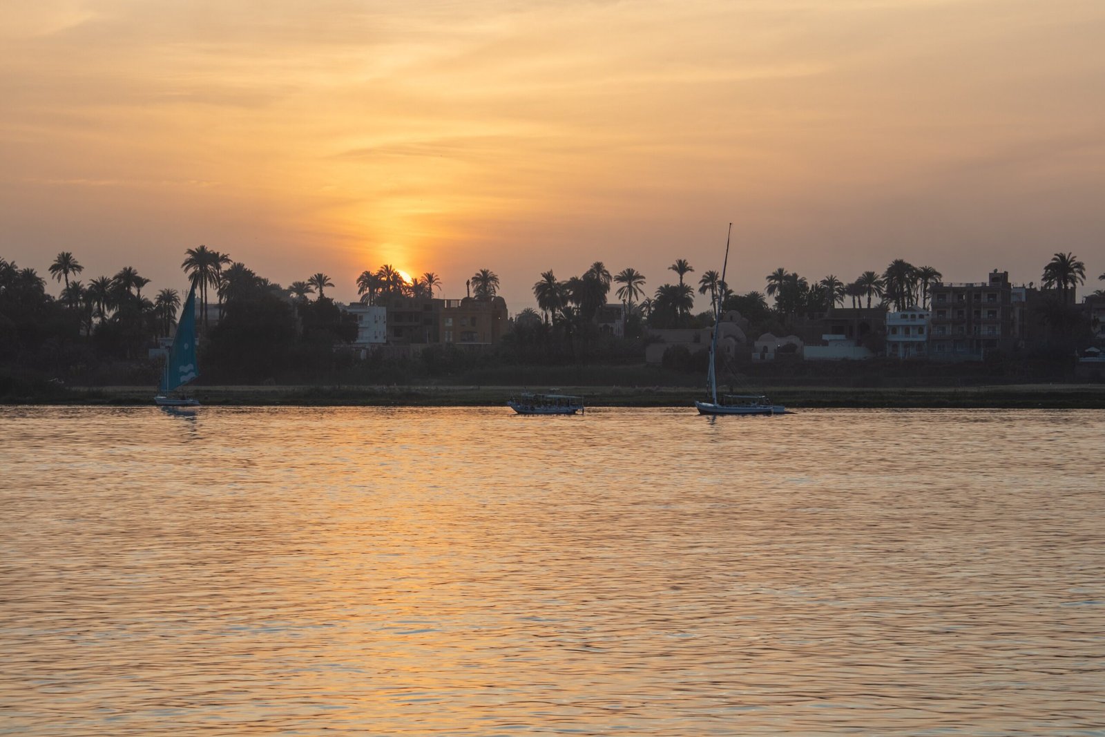 Il sole che tramonta dietro le palme della riva del Nilo a Luxor, con le feluche in lontananza