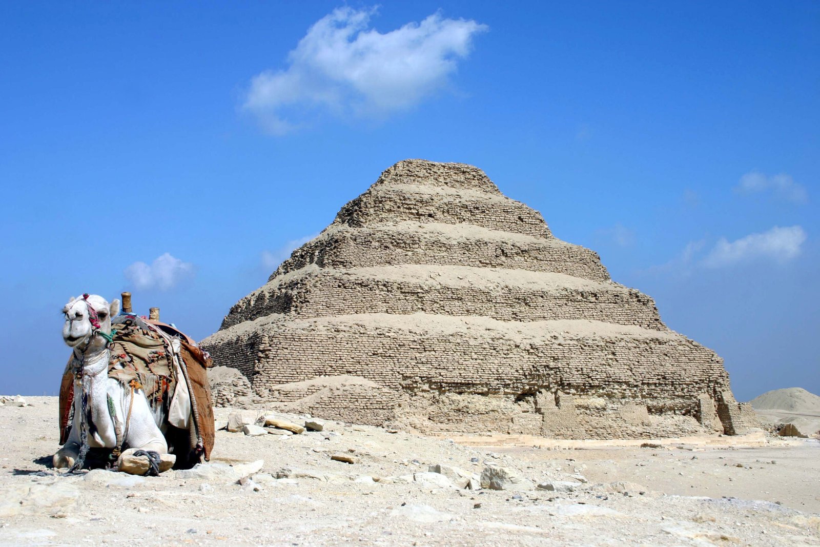 La piramide a gradoni di Djoser a Saqqara, con un cammello accucciato in primo piano e il cielo azzurro