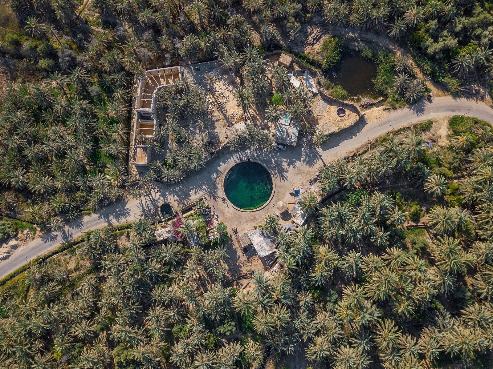 Veduta dall'alto della sorgente di Cleopatra a Siwa, con la vasca circolare circondata da una fitta palmeto e dalla strada