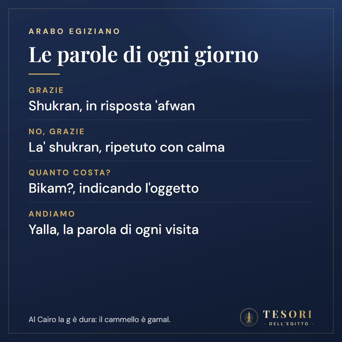Scheda con le parole egiziane di ogni giorno: shukran per grazie, afwan per prego, la shukran per no grazie, bikam per quanto costa, yalla per andiamo, e la g dura del Cairo per cui il cammello è gamal