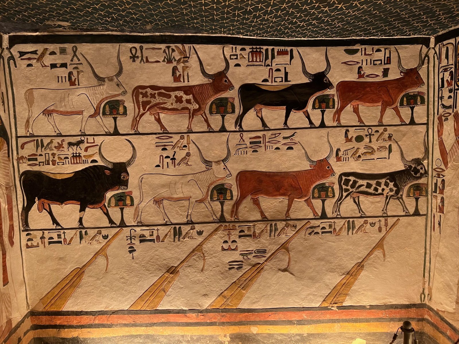 Una parete dipinta della tomba di Nefertari con la fila di tori sacri e i geroglifici su fondo chiaro